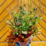 Bohemian (available from June)