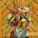 Seasonal Spring (available from April)